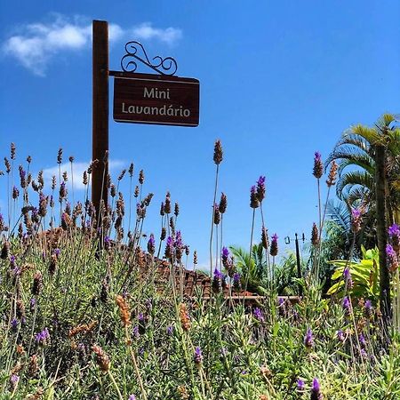 فندق Sitio Dos Palmitos - Casa Pupunha بيدرا أزول المظهر الخارجي الصورة