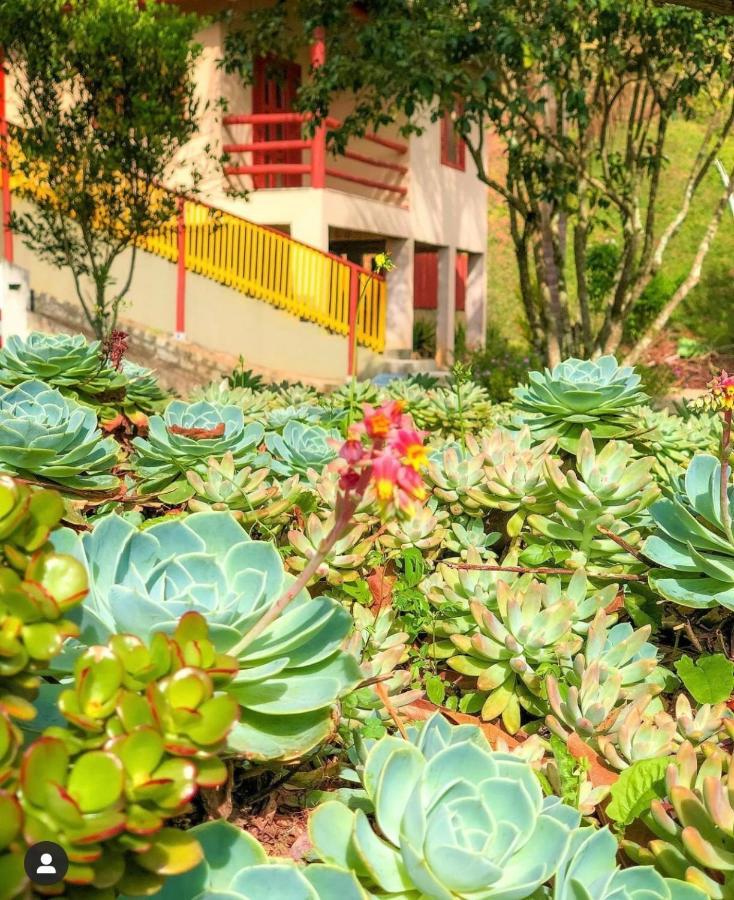 فندق Sitio Dos Palmitos - Casa Pupunha بيدرا أزول المظهر الخارجي الصورة